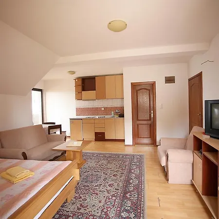 Vidikovac Apartament Zlatibor