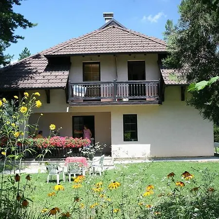 Vidikovac *