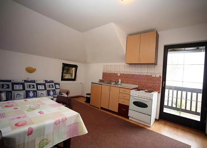 Apartament Vidikovac