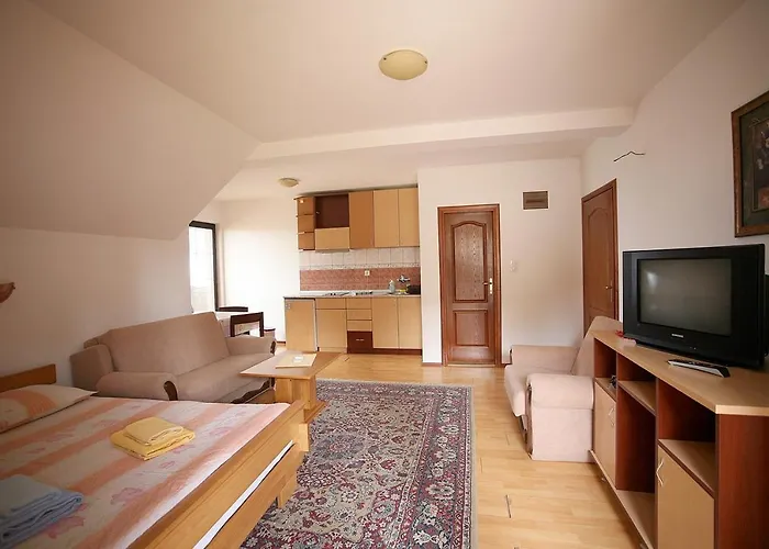 Vidikovac Apartament Zlatibor