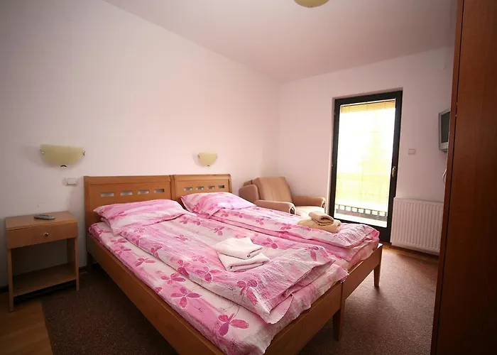 Apartament Vidikovac *